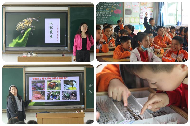 800图片_20250328101544.jpg