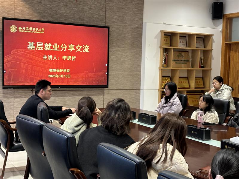 800图3.jpg