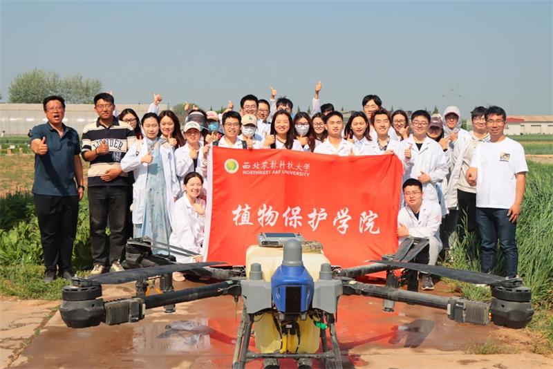 800图片2.jpg