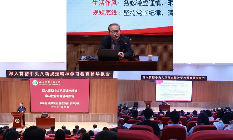 2.800陈红书记专题辅导报告会图片1.jpg