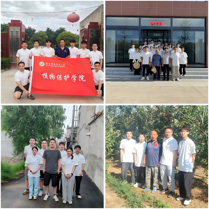 图1:四支实践队合影拼图.png