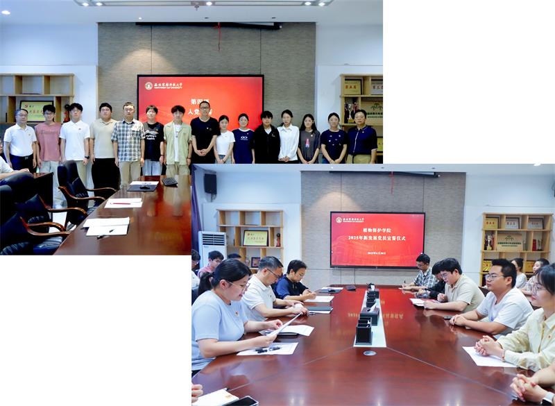800图片2.jpg