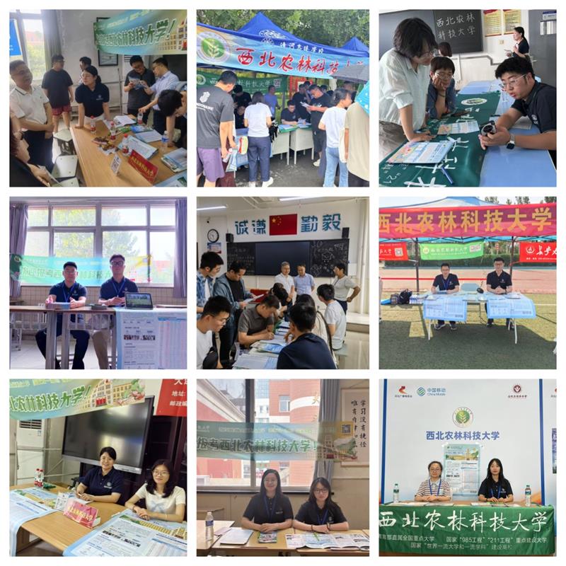 800高考招生咨询会组图.jpg