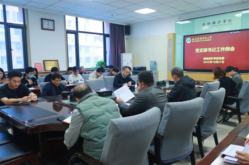800会议现场.jpg