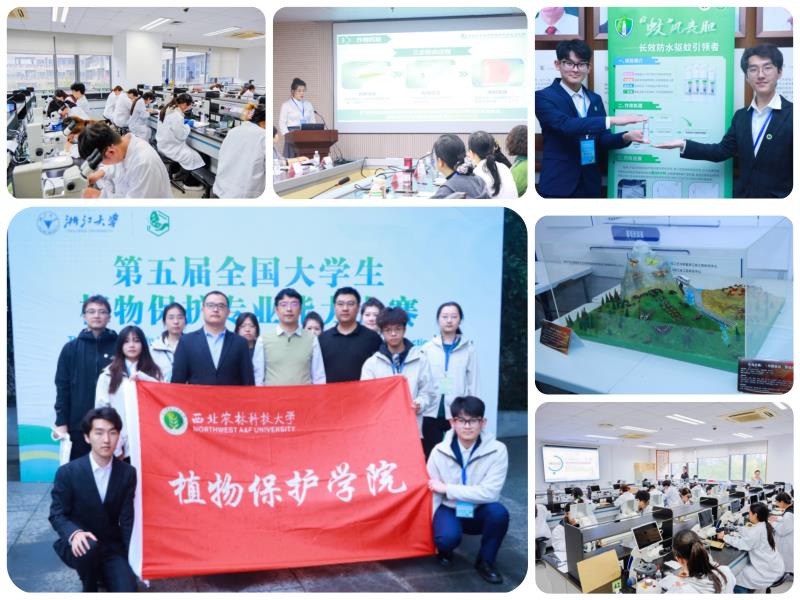 800图片_20251113153340_179_18.jpg