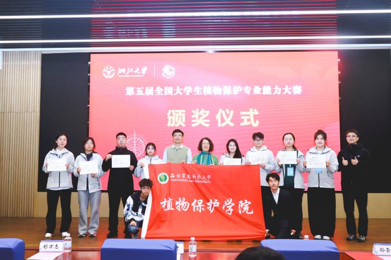 800图片_20251112083116_166_18.jpg