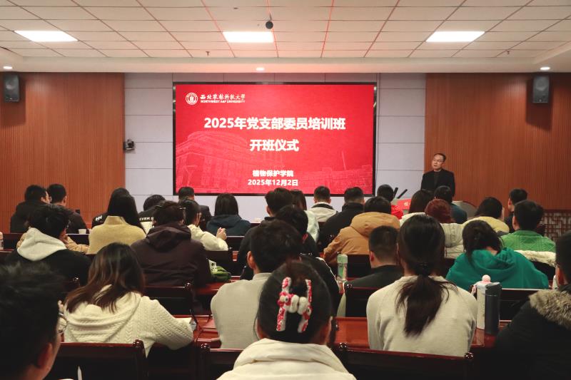 800现场会议大图.jpg