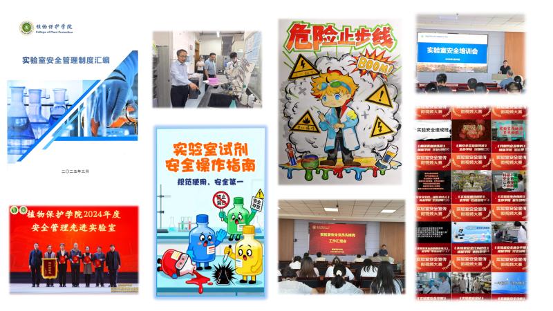 800图片.jpg