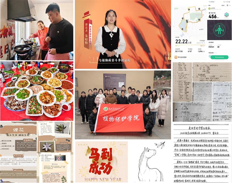 800新闻稿配图.jpg