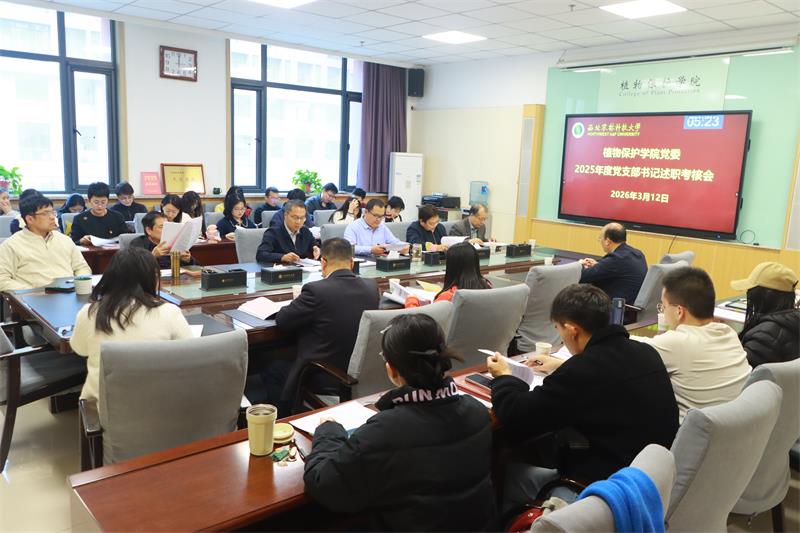 800公司召开2025年度党支部书记述职评议会_3.13.jpg