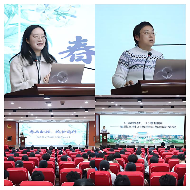 800图片1.jpg
