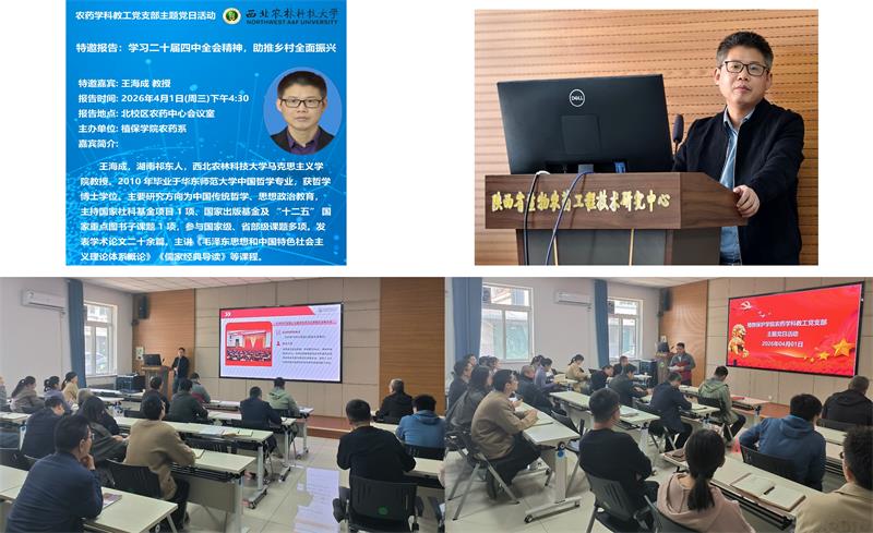 800组合图片4.jpg