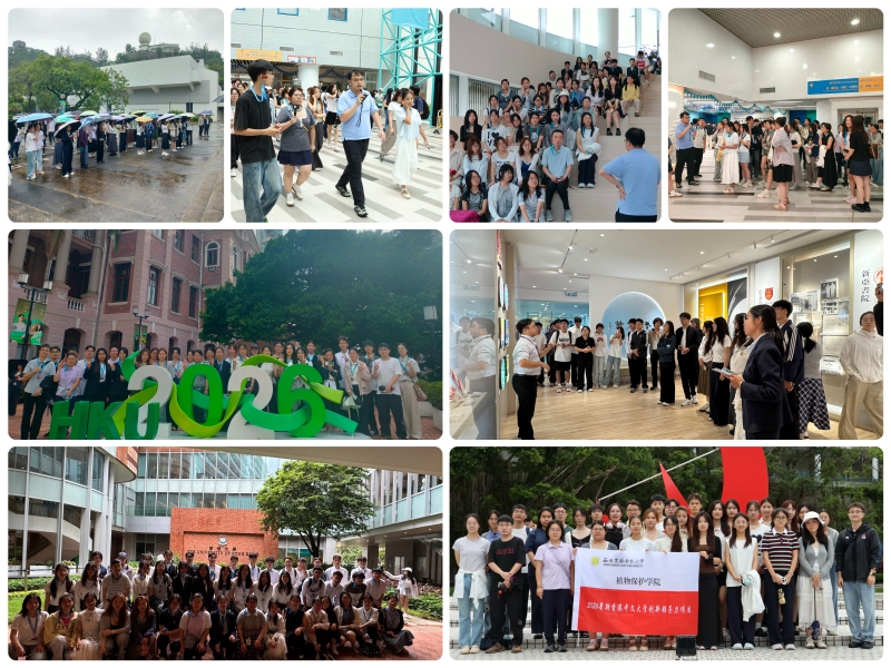 图2.员工在香港研学交流讨论.jpg