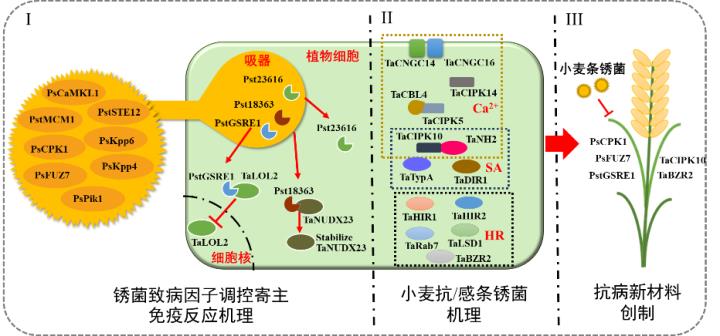 3df7a53f5d8b476ebf2603392d103eea.jpg 图片-720.jpg